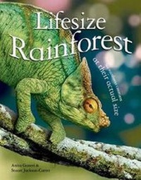 Enlarge image Cover: Lifesize: Rainforest - Kingfisher Books Ltd