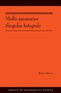 Cover: Multi-parameter Singular Integrals, Volume I - Princeton University Press