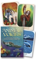 Cover: Animal Voices Oracle - Llewellyn Publications