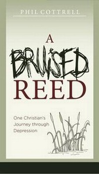 Enlarge image Cover: A Bruised Reed - Evangelical Press