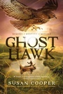 Cover: Ghost Hawk - MARGARET K MCELDERRY BOOKS