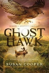 Enlarge image Cover: Ghost Hawk - MARGARET K MCELDERRY BOOKS
