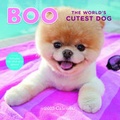 Cover: Boo the World's Cutest Dog 2015 Calendar - Chronicle Books
