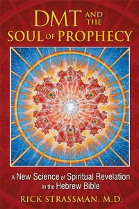 Enlarge image Cover: DMT and the Soul of Prophecy - Park Street Press,U.S.