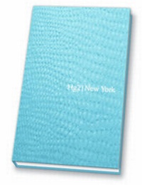 Abbildung von: Hg2: A Hedonist's Guide to New York - Filmer Ltd