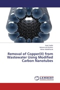 Cover: Removal of Copper(II) from Wastewater Using Modified Carbon Nanotubes - LAP Lambert Academic Publishing