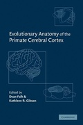 Cover: Evolutionary Anatomy of the Primate Cerebral Cortex - Cambridge University Press