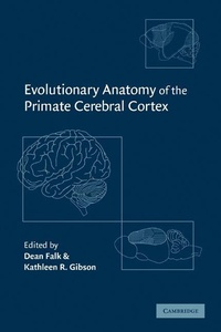 Enlarge image Cover: Evolutionary Anatomy of the Primate Cerebral Cortex - Cambridge University Press