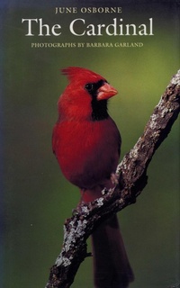 Enlarge image Cover: The Cardinal - University of Texas Press
