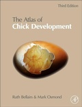 Bild: Atlas of Chick Development - Academic Press