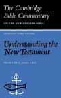 Cover: Understanding the New Testament - Cambridge University Press