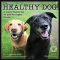 Cover: Healthy Dog - Amber Lotus