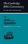Cover: The Acts of the Apostles - Cambridge University Press
