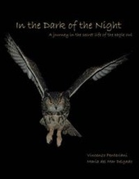 Enlarge image Cover: In the Dark of the Night - Authorhouse