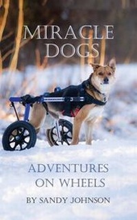 Enlarge image Cover: Miracle Dogs - Fastpencil Inc