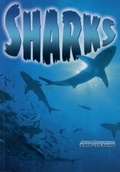 Cover: Sharks - Badger Publishing