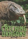Cover: Catching Dragons - Badger Publishing