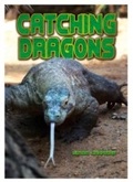 Cover: Catching Dragons - Badger Learning