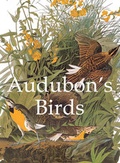 Cover: Audubon's Birds - Confidential Concepts International - Parkstone