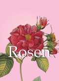 Cover: Rosen - Confidential Concepts International - Parkstone