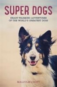 Enlarge image Cover: Super Dogs - Summersdale Publishers