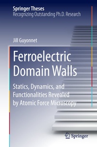 Abbildung von: Ferroelectric Domain Walls - Springer