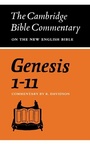 Cover: Genesis 1-11 - Cambridge University Press