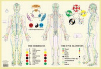 Abbildung von: Meridians / Five Elements -- A2 - Jan Van Baarle