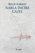 Cover: Narla Incire Gazel - Metis Yayincilik