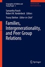 Cover: Families, Intergenerationality, and Peer Group Relations - Springer