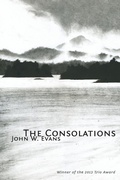 Cover: The Consolations - Trio House Press