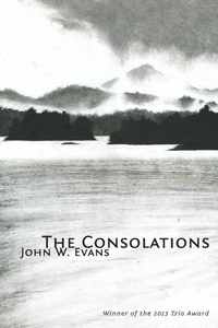 Enlarge image Cover: The Consolations - Trio House Press