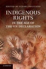 Cover: Indigenous Rights in the Age of the UN Declaration - Cambridge University Press