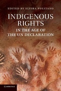 Cover: Indigenous Rights in the Age of the UN Declaration - Cambridge University Press