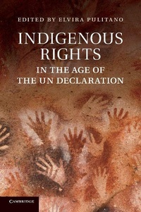 Enlarge image Cover: Indigenous Rights in the Age of the UN Declaration - Cambridge University Press