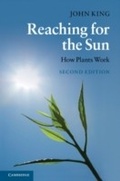 Cover: Reaching for the Sun - Cambridge University Press