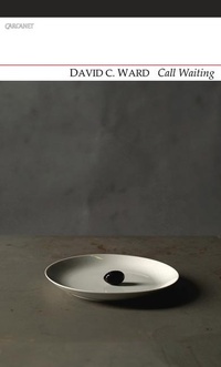 Enlarge image Cover: Call Waiting - Carcanet Press Ltd