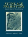 Cover: Stone Age Prehistory - Cambridge University Press