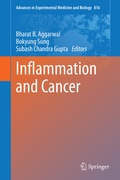 Cover: Inflammation and Cancer - Springer