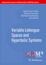 Cover: Variable Lebesgue Spaces and Hyperbolic Systems - Birkhäuser