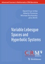 Cover: Variable Lebesgue Spaces and Hyperbolic Systems - Birkhäuser