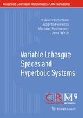 Cover: Variable Lebesgue Spaces and Hyperbolic Systems - Birkh&auml;user