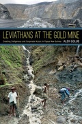 Cover: Leviathans at the Gold Mine - De Gruyter