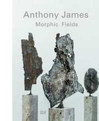 Enlarge image Cover: Anthony James - Hatje Cantz Verlag