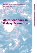 Cover: AGN Feedback in Galaxy Formation - Cambridge University Press