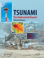 Cover: Tsunami - Springer