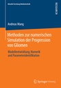 Cover: Methoden zur numerischen Simulation der Progression von Gliomen - Springer Vieweg