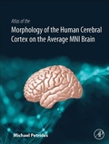 Cover: Atlas of the Morphology of the Human Cerebral Cortex on the Average MNI Brain - Academic Press
