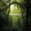 Cover: Rainforest - Abrams