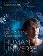 Cover: Human Universe - William Collins
